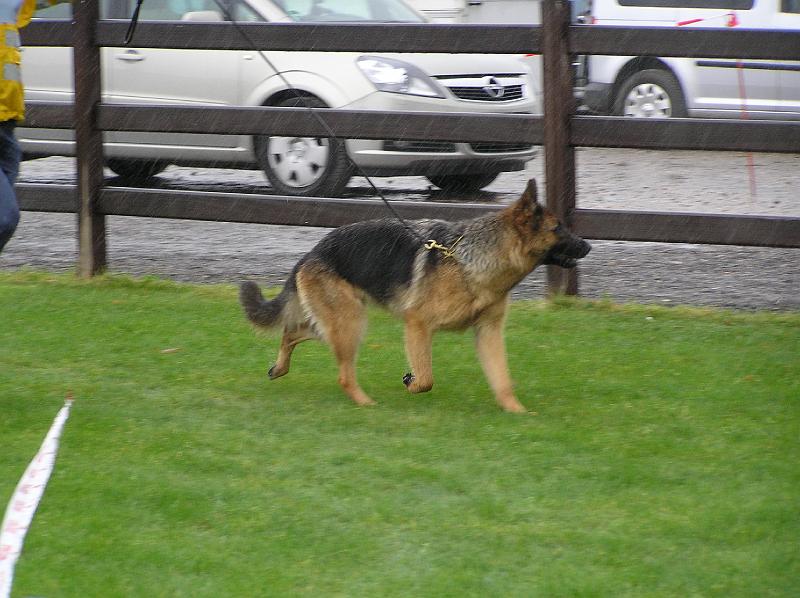 15-9-08 052.jpg
